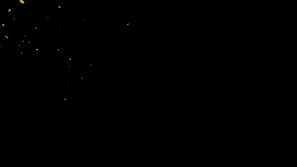 Jatuh Partikel Emas Gerak Grafis Dengan Latar Belakang Malam — Stok Video