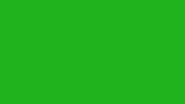 Fireworks Motion Graphics Green Screen Background — Stock Video