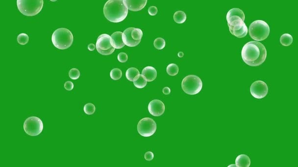 Grafica Movimento Bolle Sapone Con Sfondo Schermo Verde — Video Stock