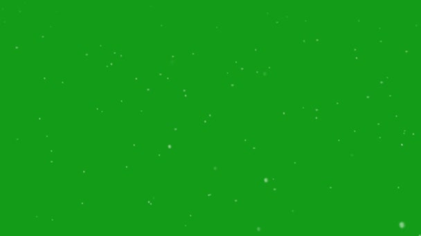 Sneeuwval Motion Graphics Met Groen Scherm Achtergrond — Stockvideo