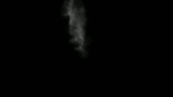 White Smoke Motion Graphics Night Background — Stock Video