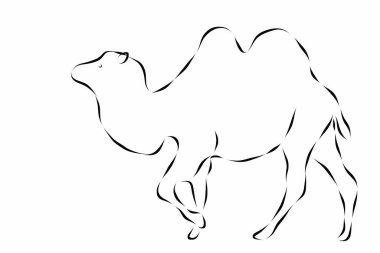 Deve beyaz arka planda güzel bir illüstrasyon