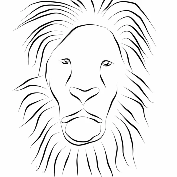 Lion Beautiful Illustration Plain White Background — Stock Photo, Image