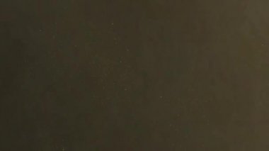 Gece arkaplanlı kum fırtınası hareketleri grafikleri