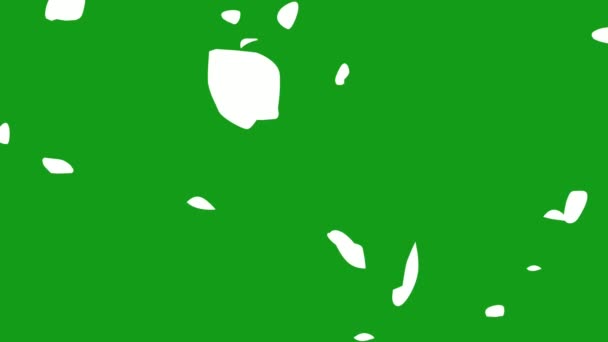 Falling Rose Petals Motion Graphics Green Screen Background — Stock Video