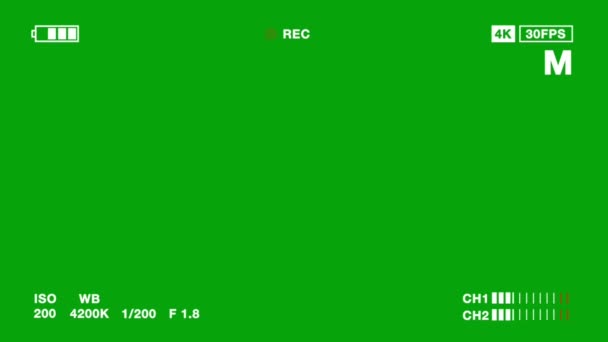 Προβολή Γραφικών Κίνησης Ανιχνευτή Πράσινο Φόντο Οθόνη — Αρχείο Βίντεο