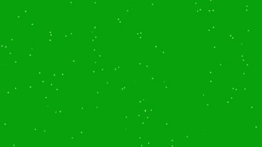 Uçan ateş böcekleri yeşil ekran arkaplanlı hareket grafikleri