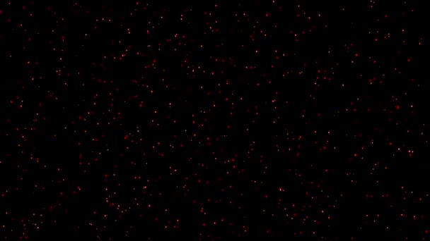 Летающая Красочная Графика Движения Частиц Блеска Ночном Фоне — стоковое видео