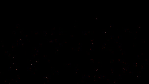 Летающая Графика Движения Частиц Огня Ночном Фоне — стоковое видео