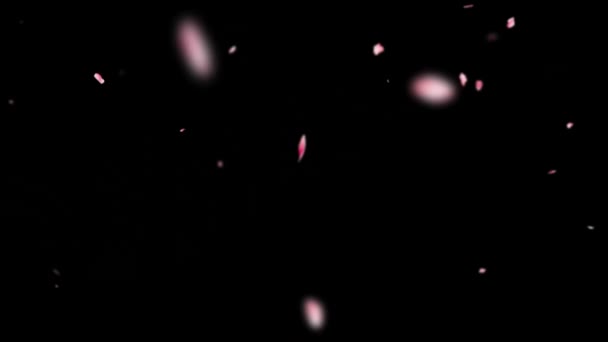 Падающие Лепестки Роз Графика Движения Ночным Фоном — стоковое видео