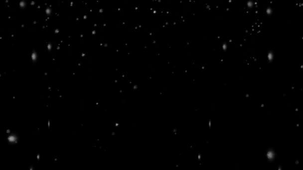Графика Движения Снегопада Ночным Фоном — стоковое видео