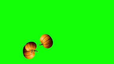 Yeşil ekran arkaplanlı taze ham balkabağı hareket grafikleri