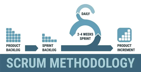 Scrum Methodology Process Agile Scrum Project Management Scrum Model — 图库矢量图片