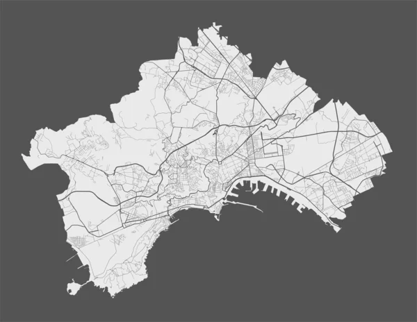 Mapa Nápoles Mapa Vetorial Detalhado Área Administrativa Cidade Nápoles Cartaz — Vetor de Stock