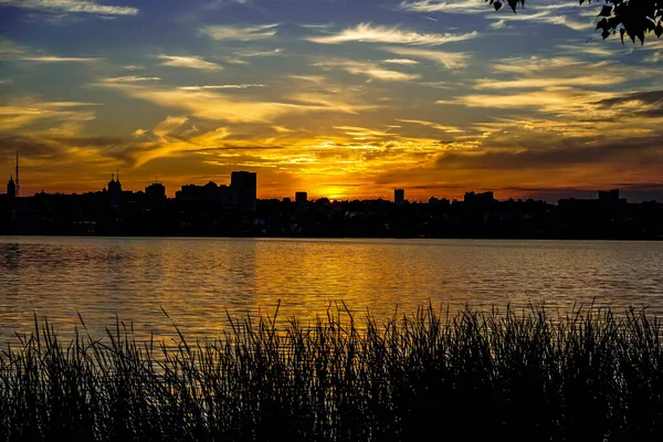 Rusya 'daki Voronezh şehri.