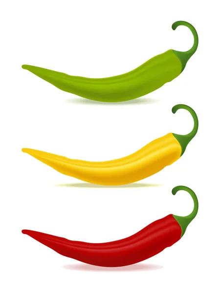 Drei Paprika Lang Rot Gelb Grün — Stockvektor