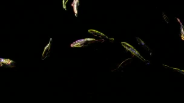 Koi carpe néon poisson animation 4K 