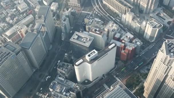 Aerial Flying Tokyo City Japan — Stock Video