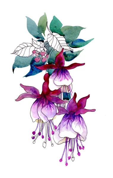 Acquerello Fiori Viola Foglie Disegnate Mano — Foto Stock