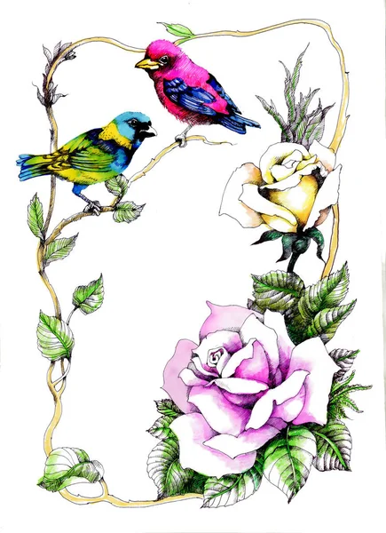 Yaban gülü dallarında suluboya kuşlarda çerçeveli