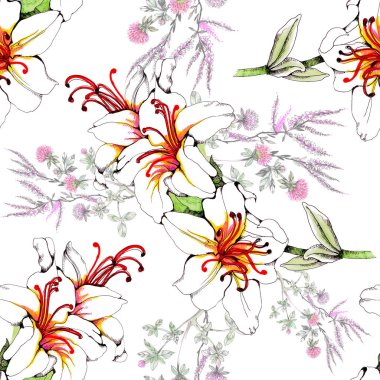 Sulu Boya güzel pembe lily illüstrasyon.