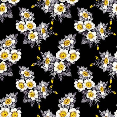 çiçek açan nergis çiçekleri