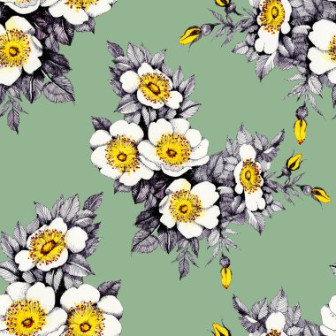 çiçek açan nergis çiçekleri