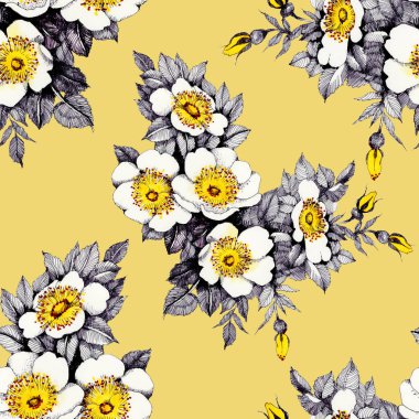 çiçek açan nergis çiçekleri