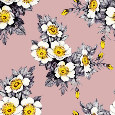 çiçek açan nergis çiçekleri