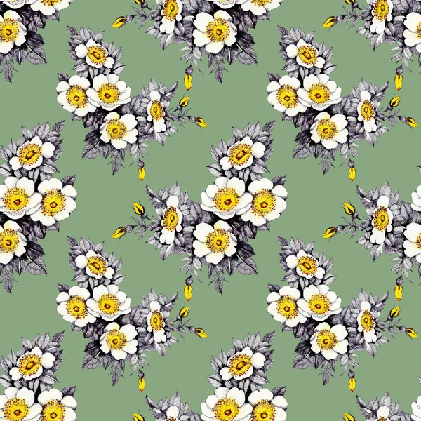 Kvetoucí květiny Narcis — Stock fotografie