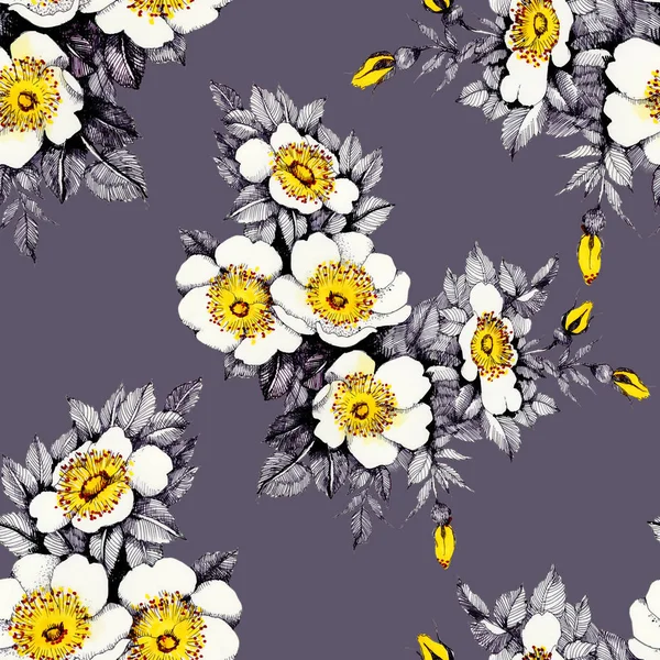 Fioritura fiori di narciso — Foto Stock