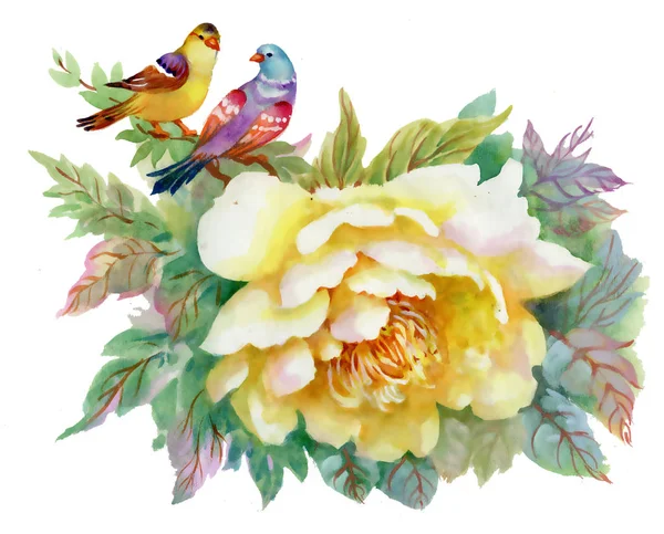 Akvarell Målning Ros Och Färgglada Fåglar Vit Bakgrund — Stockfoto