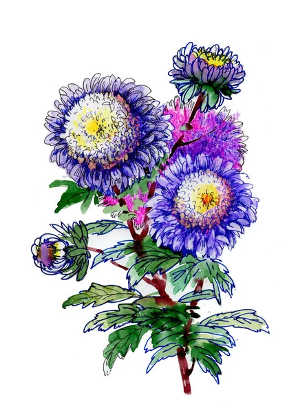 Bloemen Aquarel Illustratie Een Tedere Boeket Een Witte Achtergrond — Stockfoto