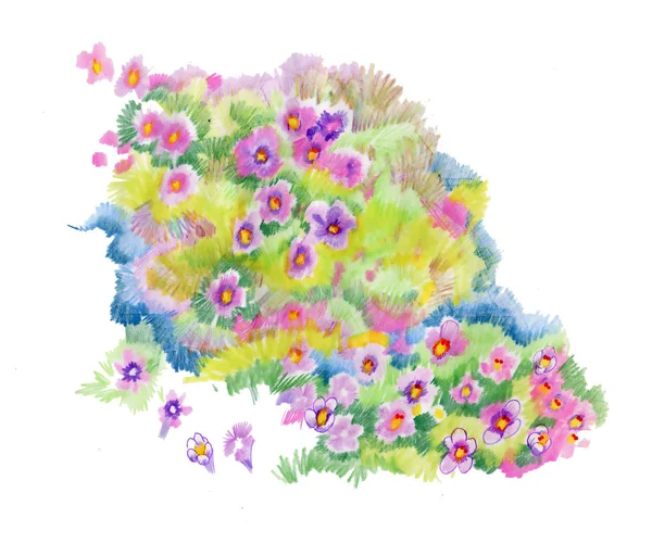 Fiori Acquerello Illustrazione Bouquet Tenero Sfondo Bianco — Foto Stock