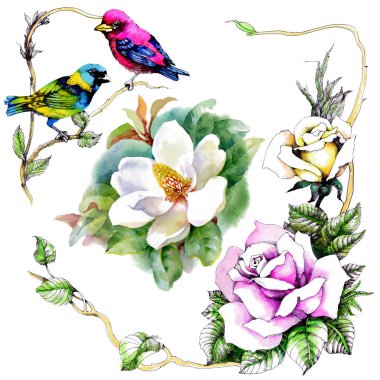 Yaban gülü Dikişsiz desen beyaz arka plan üzerinde dallar suluboya kuşlar