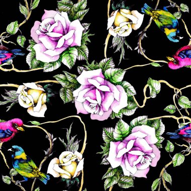 Petunya çiçek arka plan