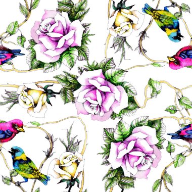 Petunya çiçek arka plan