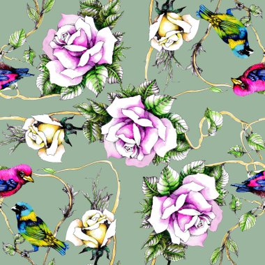 Petunya çiçek arka plan