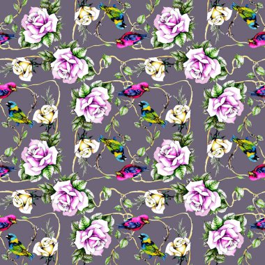 Petunya çiçek arka plan