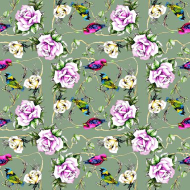 Petunya çiçek arka plan