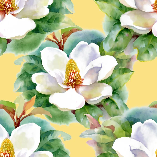 Akvarell vitt vatten-lilly blommor mönster med groda på dammen vektor illustration — Stockfoto