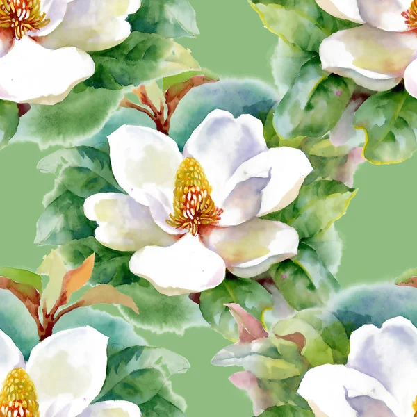 Watercolor white water-lilly flowers pattern with frog on pond vector illustration — Stock Photo, Image