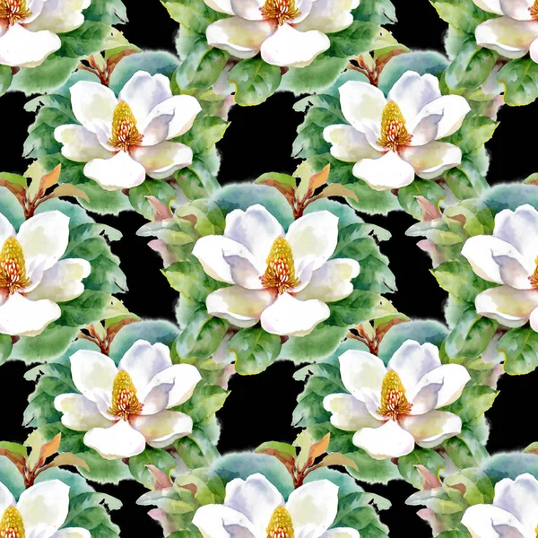 Watercolor white water-lilly flowers pattern with frog on pond vector illustration