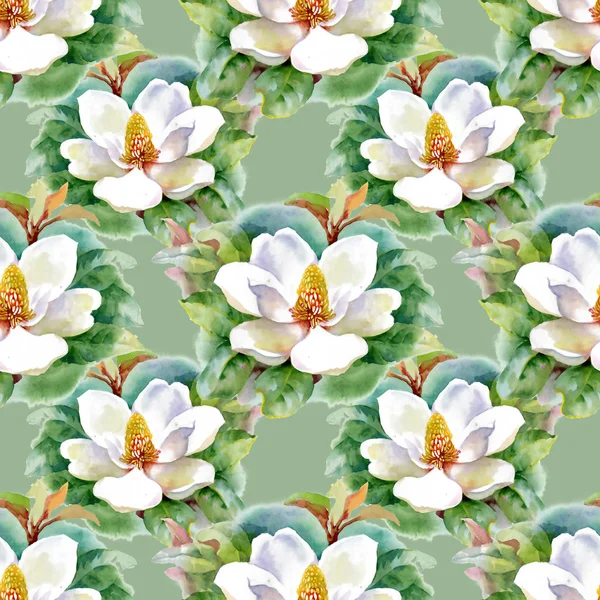 Watercolor white water-lilly flowers pattern with frog on pond vector illustration