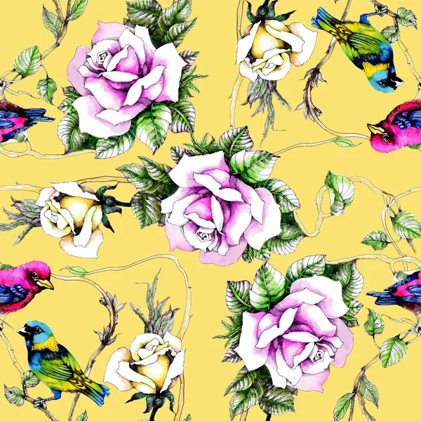Petunien Blumen Hintergrund — Stockfoto