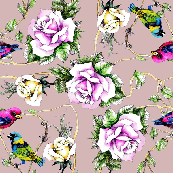 Petunia bloemen achtergrond — Stockfoto