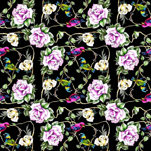 Petunya çiçek arka plan