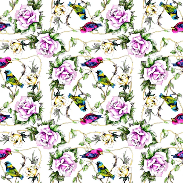 Petunya çiçek arka plan