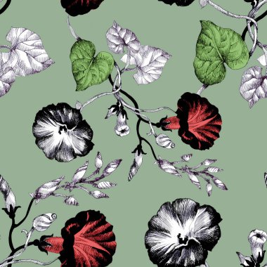 Petunya çiçek arka plan