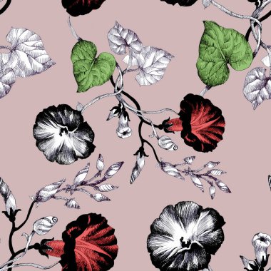 Petunya çiçek arka plan